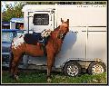 cIMG_3817