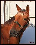 cIMG_3817b