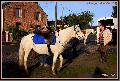 cIMG_3818