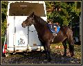 cIMG_3819