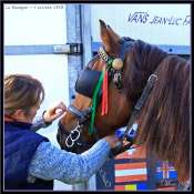 cIMG_3834b