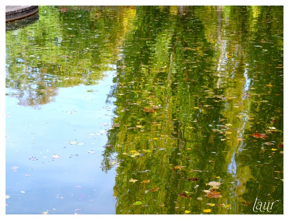 Image hébergée par Casimages.com : votre hébergeur d images simple et gratuit