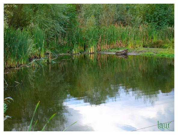 Image hébergée par Casimages.com : votre hébergeur d images simple et gratuit