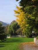 Hebergement gratuit d image et photo