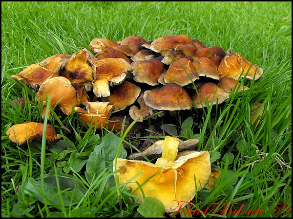 Image hébergée par Casimages.com : votre hébergeur d images simple et gratuit