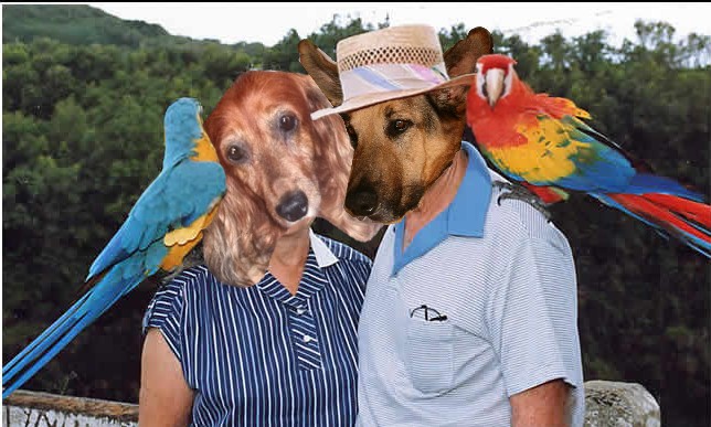 Image h�berg�e par Casimages.com : votre h�bergeur d images simple et gratuit