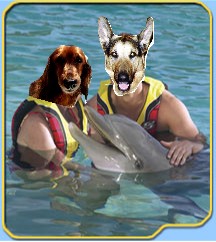 Image h�berg�e par Casimages.com : votre h�bergeur d images simple et gratuit