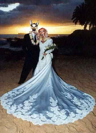 Image h�berg�e par Casimages.com : votre h�bergeur d images simple et gratuit