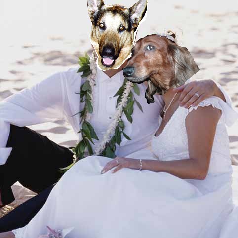 Image h�berg�e par Casimages.com : votre h�bergeur d images simple et gratuit