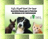 Image h�berg�e par Casimages.com : votre h�bergeur d images simple et gratuit