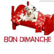 Bon dimanche