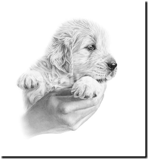 Image h�berg�e par Casimages.com : votre h�bergeur d images simple et gratuit