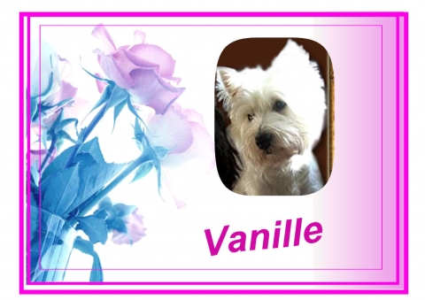 Image h�berg�e par Casimages.com : votre h�bergeur d images simple et gratuit