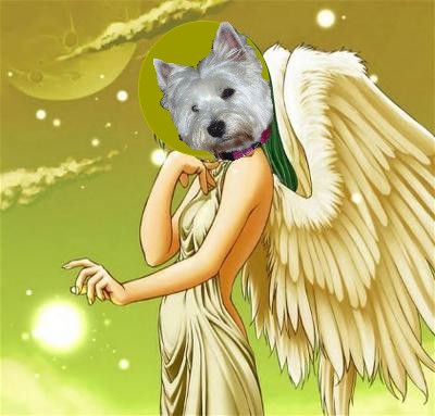 Image h�berg�e par Casimages.com : votre h�bergeur d images simple et gratuit