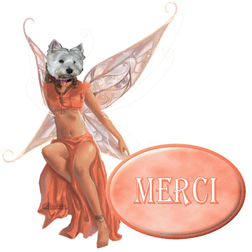 Image h�berg�e par Casimages.com : votre h�bergeur d images simple et gratuit