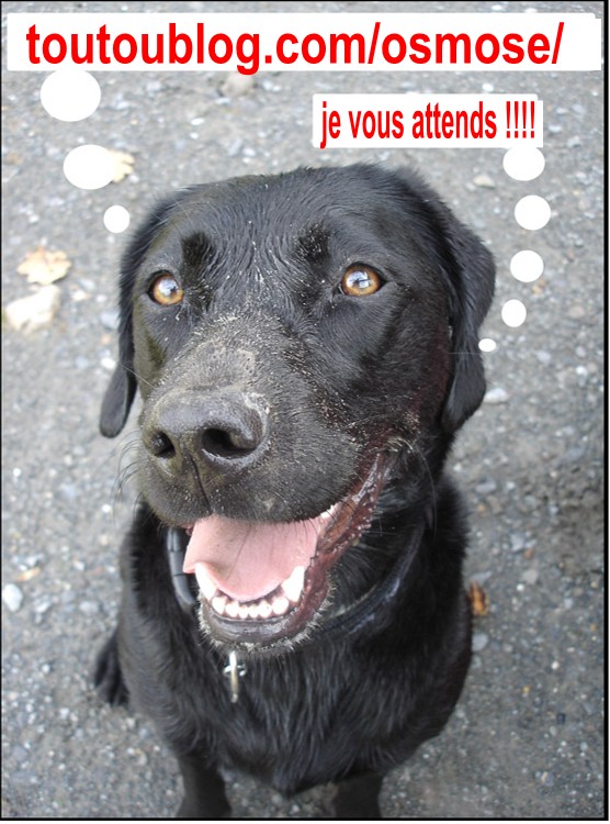 Image h�berg�e par Casimages.com : votre h�bergeur d images simple et gratuit