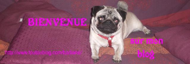 Image h�berg�e par Casimages.com : votre h�bergeur d images simple et gratuit