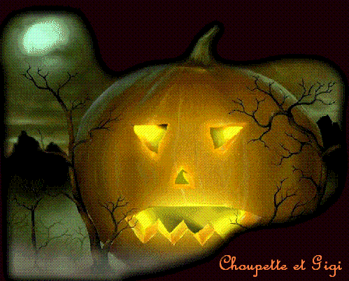 Image h�berg�e par Casimages.com : votre h�bergeur d images simple et gratuit