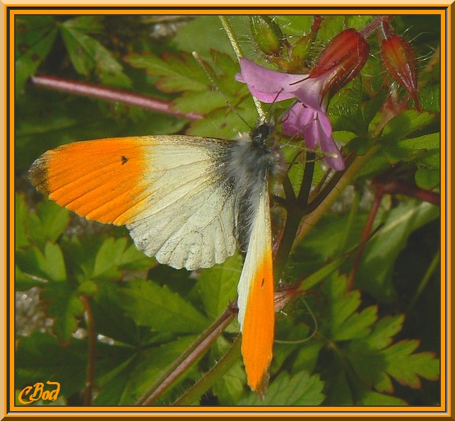 Image h�berg�e par Casimages.com : votre h�bergeur d images simple et gratuit