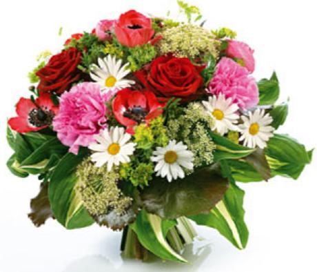 Image h�berg�e par Casimages.com : votre h�bergeur d images simple et gratuit