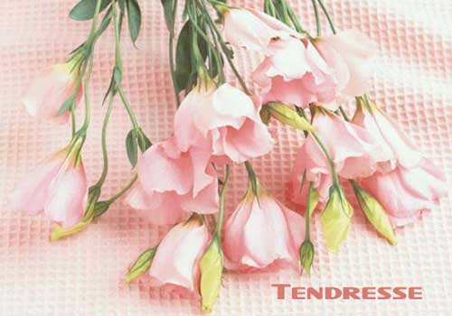 Image h�berg�e par Casimages.com : votre h�bergeur d images simple et gratuit