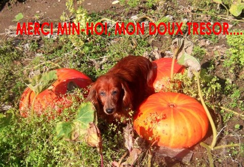 Image h�berg�e par Casimages.com : votre h�bergeur d images simple et gratuit
