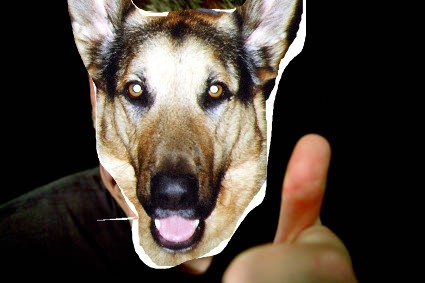 Image h�berg�e par Casimages.com : votre h�bergeur d images simple et gratuit