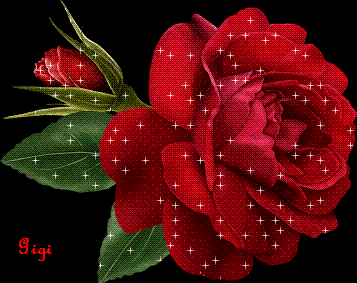 Image hébergée par Casimages.com : votre hébergeur d images simple et gratuit