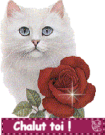 Image hébergée par Casimages.com : votre hébergeur d images simple et gratuit