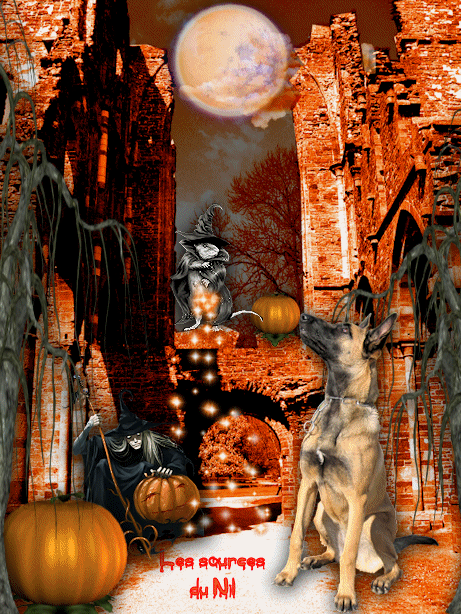 Image h&eacute;berg&eacute;e par Casimages.com : votre h&eacute;bergeur d images simple et gratuit