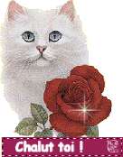 Hello,salut