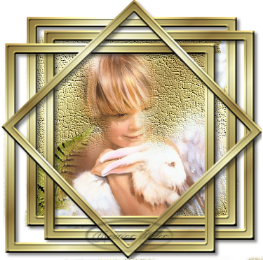 Image hébergée par Casimages.com : votre hébergeur d images simple et gratuit