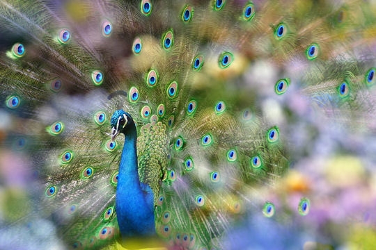 Image hébergée par Casimages.com : votre hébergeur d images simple et gratuit