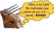 Cliquez pour afficher l'image en taille r�elle