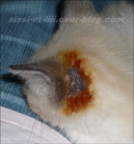 Image hébergée par Casimages.com : votre hébergeur d images simple et gratuit