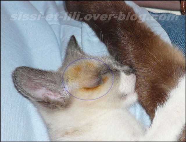Image hébergée par Casimages.com : votre hébergeur d images simple et gratuit