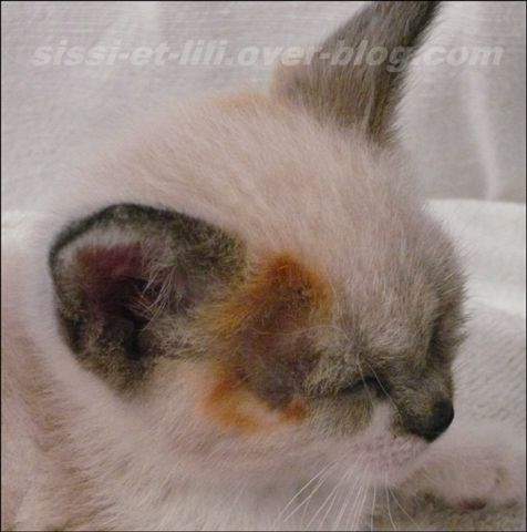 Image hébergée par Casimages.com : votre hébergeur d images simple et gratuit