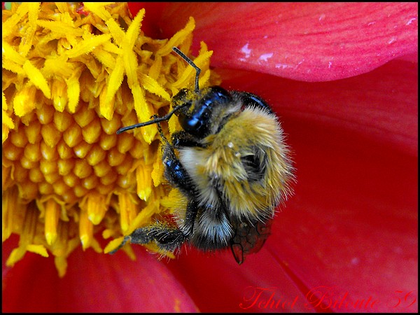 Image hébergée par Casimages.com : votre hébergeur d images simple et gratuit