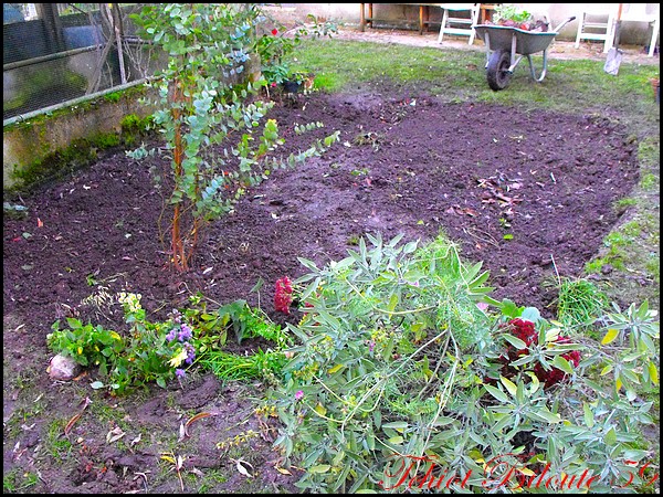 Image hébergée par Casimages.com : votre hébergeur d images simple et gratuit