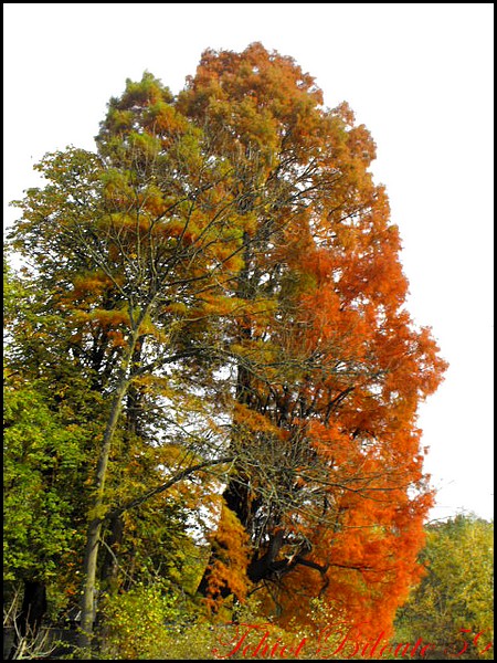 Image hébergée par Casimages.com : votre hébergeur d images simple et gratuit