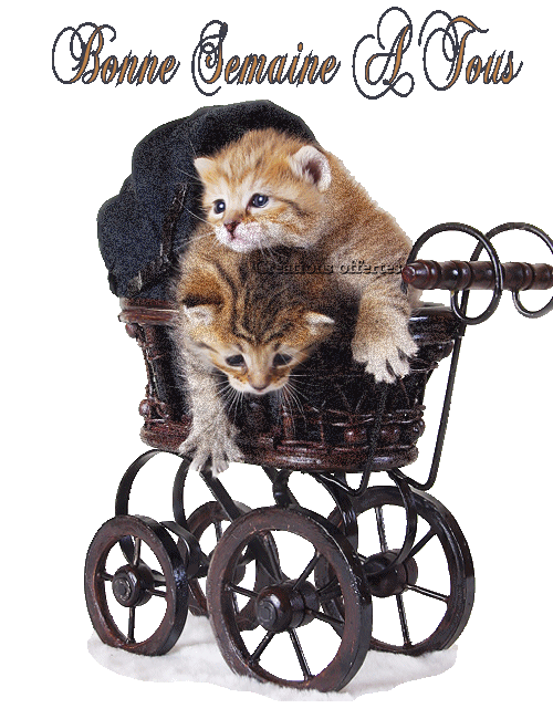 Image h�berg�e par Casimages.com : votre h�bergeur d images simple et gratuit