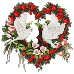 Image h�berg�e par Casimages.com : votre h�bergeur d images simple et gratuit