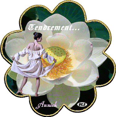 Image hébergée par Casimages.com : votre hébergeur d images simple et gratuit