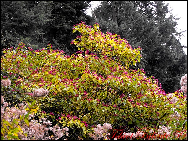 Image hébergée par Casimages.com : votre hébergeur d images simple et gratuit