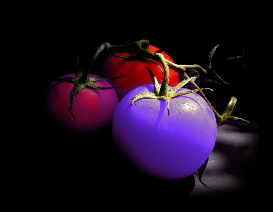 Tomates de Michel-Marie Solito de Solis dans ◤Photos 081029030958133812674480