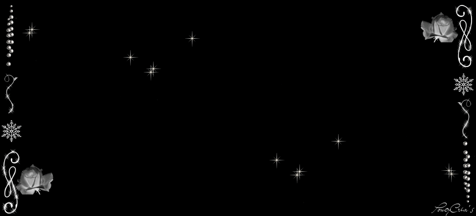 Fond 04