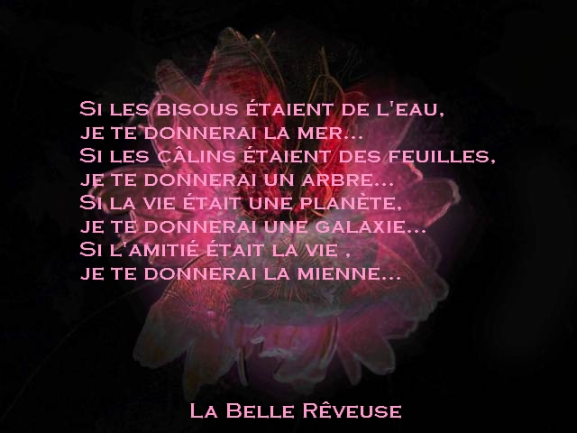 voir l'image en taille réelle