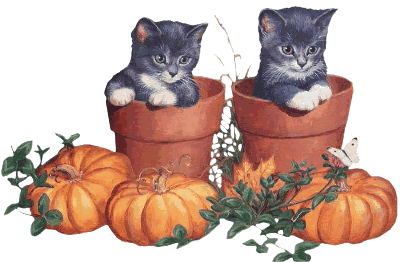 Image h�berg�e par Casimages.com : votre h�bergeur d images simple et gratuit