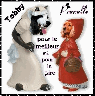 Image hébergée par Casimages.com : votre hébergeur d images simple et gratuit