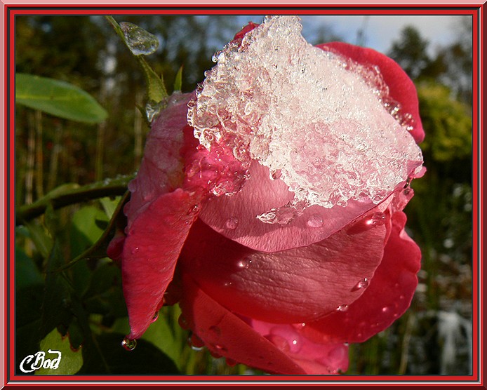 Image h�berg�e par Casimages.com : votre h�bergeur d images simple et gratuit